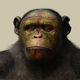 Illustration for article titled Life of the Apes Revealed in emDawn of the Planet of the Apes/em Concept Art